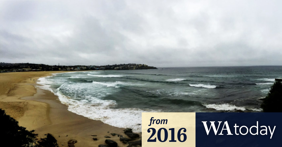 Sydney weather Windy weekend on the way as rain washes away the snow